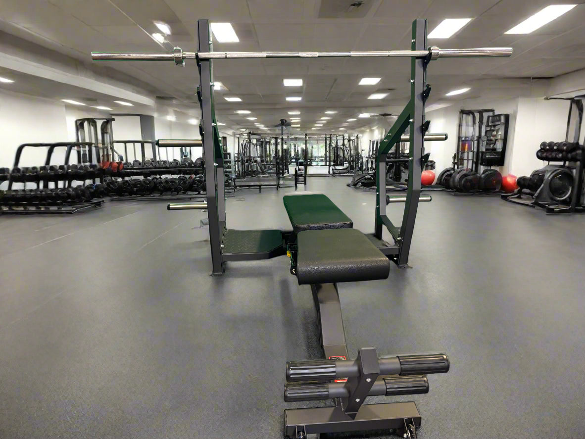 SFE Commercial Adjustable FID Bench Press