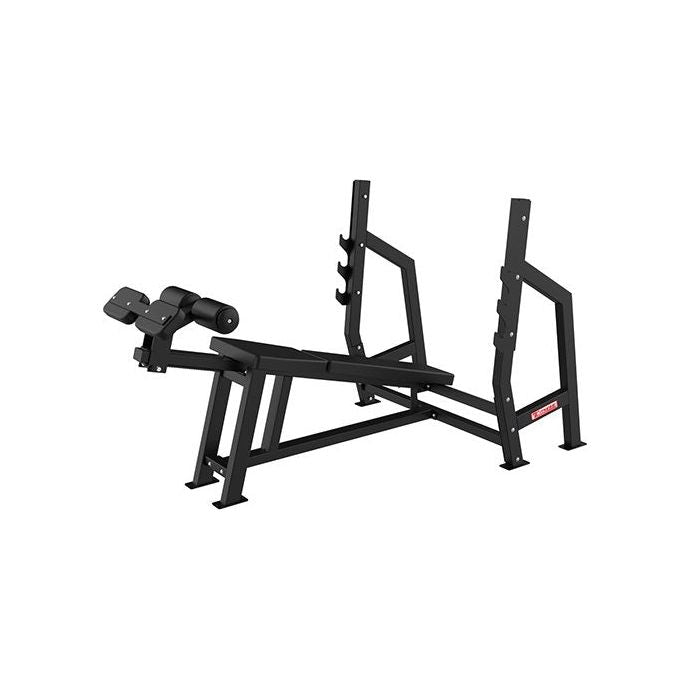 SFE Commercial Incline Bench Press