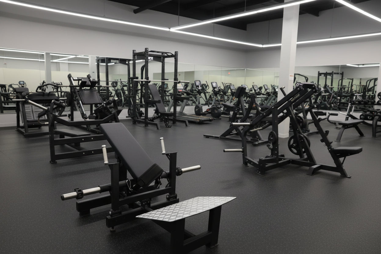 SFE Commercial Hip Thrust Glute Machine